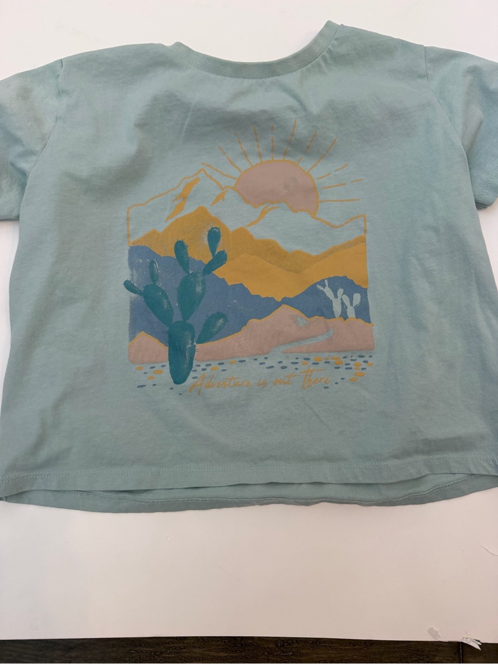 Bixby nomad desert scene shirt size 8-10